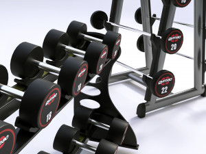 Rack GYM80 3D Model