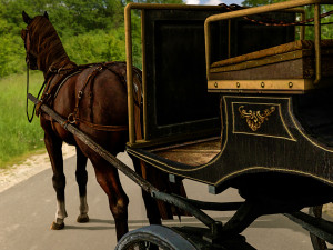 Horse Carriages Modelo 3D