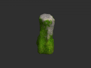 Rock Set 05 - Forest 3D 모델