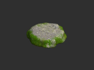 Rock Set 05 - Forest 3D Model