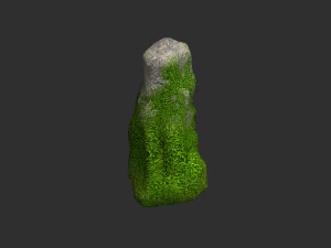 Rock Set 05 - Forest 3D Model