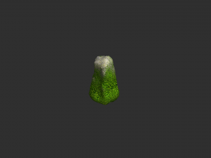 Rock Set 05 - Forest 3D 모델