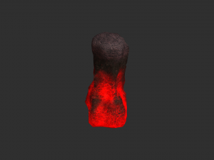 Rock Set 05 - Lava 3D Model