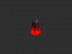 Rock Set 05 - Lava 3D Model