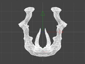 Dragon Jaw Portal Modèle 3D
