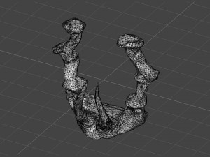 Dragon Jaw Portal Modèle 3D