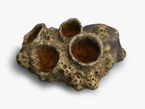 Rocha Aranha 01 Modelo 3D