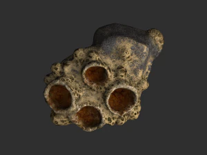 Spider Rock 01 3D Model
