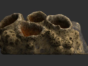Spider Rock 01 3D Model