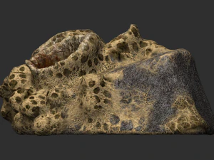 Spider Rock 01 3D Model