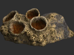 Spider Rock 01 3D Model