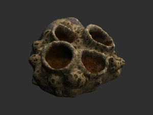 Spider Rock 01 3D Model