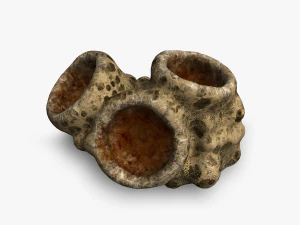 Spinrots 02 3D Model