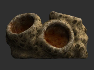 Spider Rock 02 3D Model