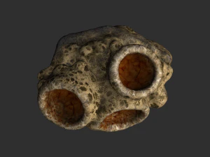 Spider Rock 02 3D Model