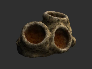 Spider Rock 02 3D Model