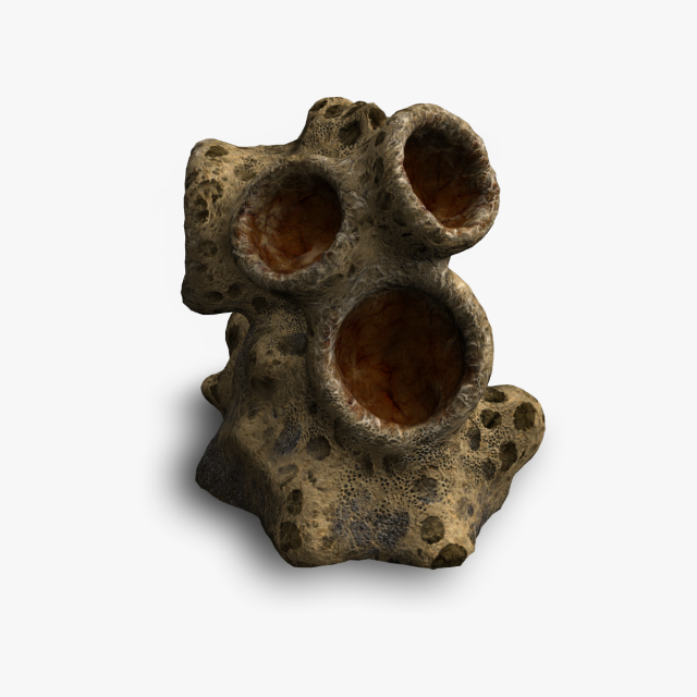 Spider Rock 03 Modèle 3D .c4d .max .obj .3ds .fbx .stl .blend 