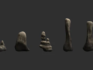 5 Cave Rocks in 4 Texture Options 3D Model