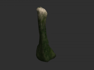 5 Cave Rocks in 4 Texture Options 3D Модель