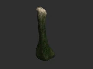 5 Cave Rocks in 4 Texture Options 3D Model