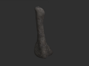 5 Cave Rocks in 4 Texture Options 3D Модель