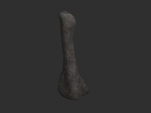 5 Cave Rocks in 4 Texture Options 3D Model
