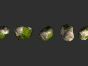 Rock Set 03 - Ivy 3D Model