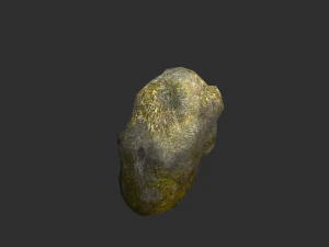 Rock Set 03 - Forest 3D Model