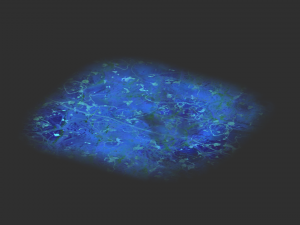 Rock Set 03 - Magic 3D Model