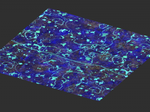 Rock Set 03 - Magic 3D Model