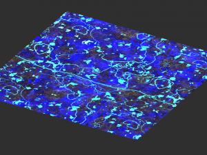 Rock Set 03 - Magic 3D Model