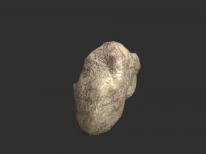 Rock Set 03 - Light 3D Model