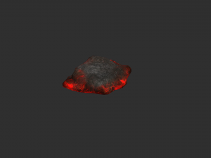 Rock Set 06 - Lava 3D Model