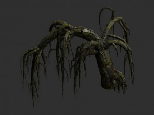 12 Roots in 4 Texture Options Modelo 3D