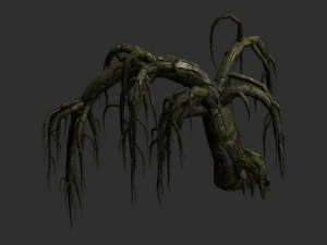 12 Roots in 4 Texture Options 3D Model