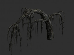 12 Roots in 4 Texture Options Modelo 3D