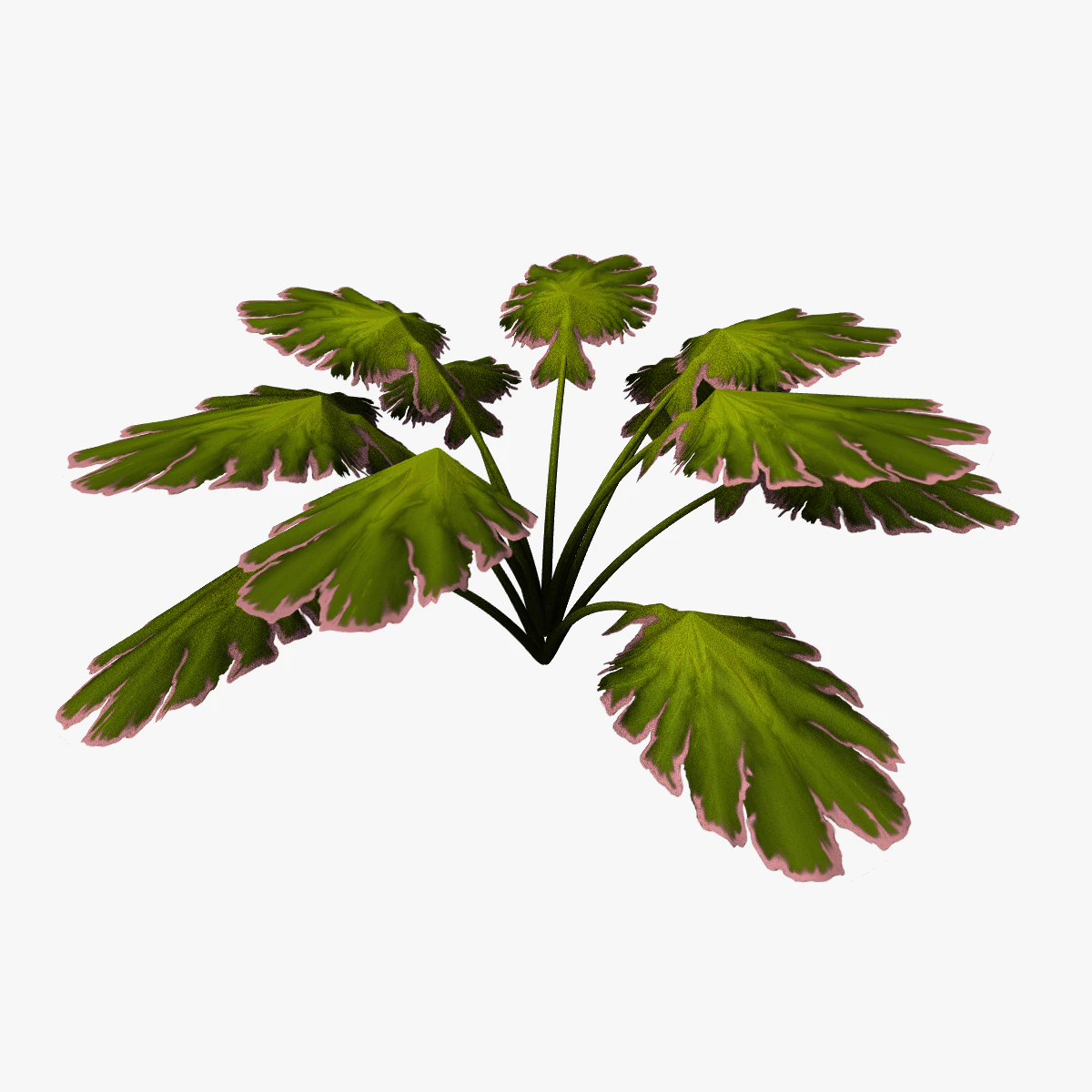 Alien Plant 3D Model .c4d .max .obj .3ds .fbx .stl .blend