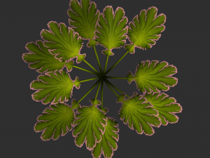 Alien Plant Modèle 3D