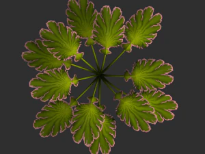 Alien Plant 3D Model