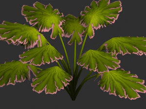 Alien Plant 3D Model