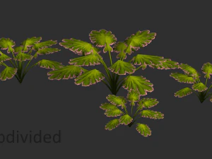 Alien Plant 3D Model