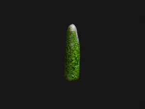 Obelisk Set - Ivy 3D Model