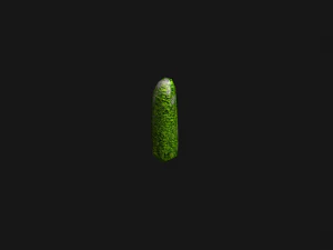 Obelisk Set - Ivy 3D Model