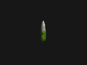 Obelisk Set - Ivy 3D Model