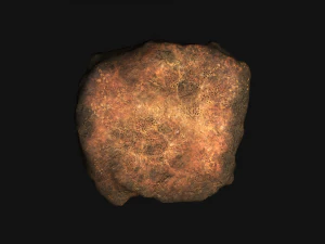 Рок 07 - Пил 2 3D Модель