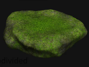 Рок 07 - Мох 3D Модель