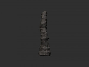 Cave Rock L - Base Modello 3D