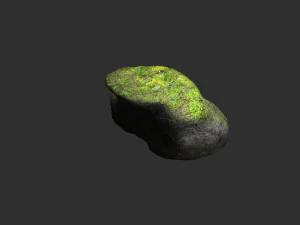 Short Flat Rocks - Moss 1 3D Model