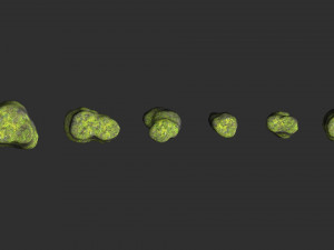 Short Flat Rocks - Moss 1 Modelo 3D