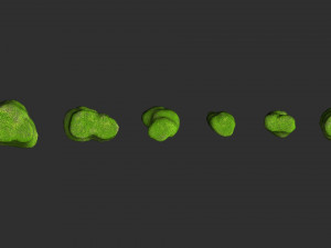 Short Flat Rocks - Moss 2 3D Model